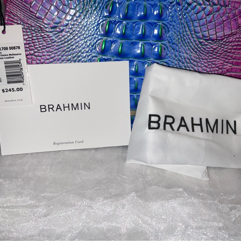 Brahmin Shayna, Divine Ombré Melbourne, NWT - Picture 11 of 16